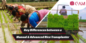 Key Differences between a Manual & Advanced Rice Transplante