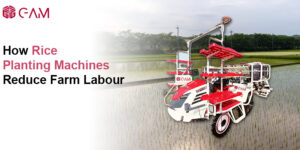 increase yield using rice transplanter