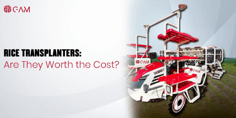 Read more about the article Rice Transplanters: Are They Worth the Cost?