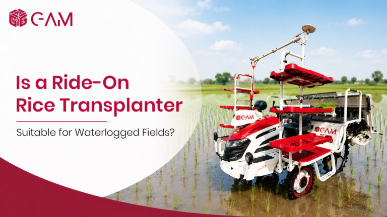 Read more about the article Is a Ride-On Rice Transplanter Suitable for Waterlogged Fields?